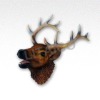3D fridge magnet