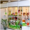 Wholesale Fragreen flower mud