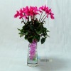 Wholesale Fragreen Round crystal mud