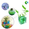 Wholesale Fragreen hydro bead