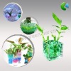 Wholesale Fragreen plant soil