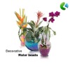 Wholesale Fragreen Water Gel