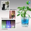 Wholesale Fragreen gel ball