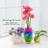 Wholesale Fragreen bio gel