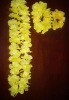 Wholesale Hawaii flower necklace