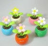 Wholesale Solar Flowers, Solar Toy