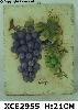 Wholesale home decoration polyresin plaque
