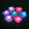 Wholesale colourful Flashing Roses