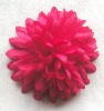 Wholesale 2011 Tops fashion christmas flower ~~~~~AC20009