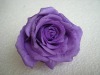 Wholesale Preserved flower Preserved rose
