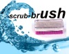 Wholesale HQ8002 plastic floor scrub brush--Chinese traditional golden fish shape cleaning promotional products