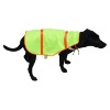 pet vest