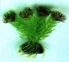 2011 new design style fashion artificial fish aquarium accessories