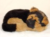 Wholesale pet dog model