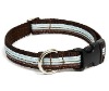 colorful pet belt