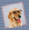Wholesale incontinence pet training pad