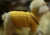 Wholesale 2011 new fation dog sweater