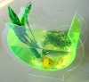 Wholesale EB-015 Acrylic Fish tank