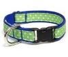 Wholesale colorful pet leash
