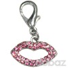 Dog charms dog fashion pet accessories Pet products