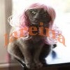 Wholesale Pet cat wigs 53