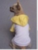 Wholesale dog sweater