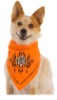 Wholesale HD flame 100% cotton bandana for dogs