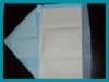 Anti-slip pet training pad