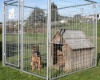 dog houses