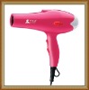 professional pet cleaning supply 2200W