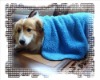Wholesale Microfiber Drying Pet Towel(16''*24'')