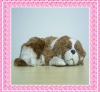 Wholesale pet dog model