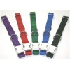 up country dog collars