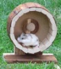 Wooden Hamster Wheel