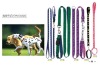 Wholesale dog leash
