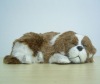 Wholesale pet dog model