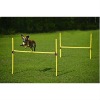 2011 popular new dog hurdle set, dog sports training