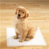 Wholesale pet pad, puppy pad, pet training pad