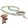 Wholesale spotlight factory direct,pretty dog strap