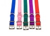 Wholesale cute dog collars