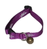 Wholesale pet products