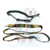 Wholesale Fashion comfortable pet collar & pet leash