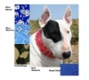Wholesale Pet Cooling Bandana & Pet Neck Bandana