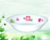 Wholesale Melamine Salad Bowl