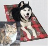 Wholesale pet pad