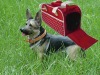 Wholesale New shape of dog bag carrier