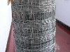 Wholesale field fence