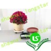 Supply the best quality of Plastic flower tray
