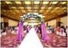Wholesale celebrity white carpet