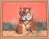 Wholesale 100%polyester warp knitting printed carpet velvet fabric
